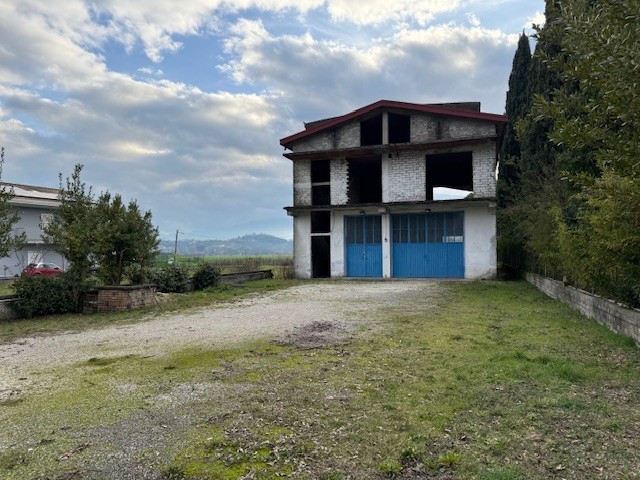 Altro in Vendita
