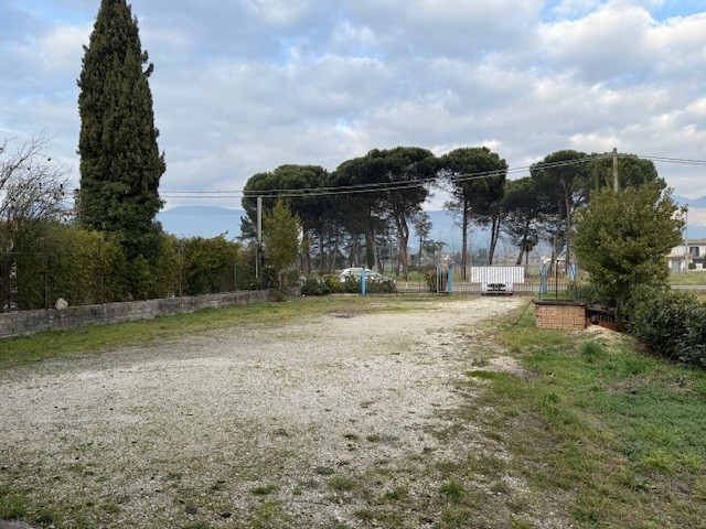 Immagine 6