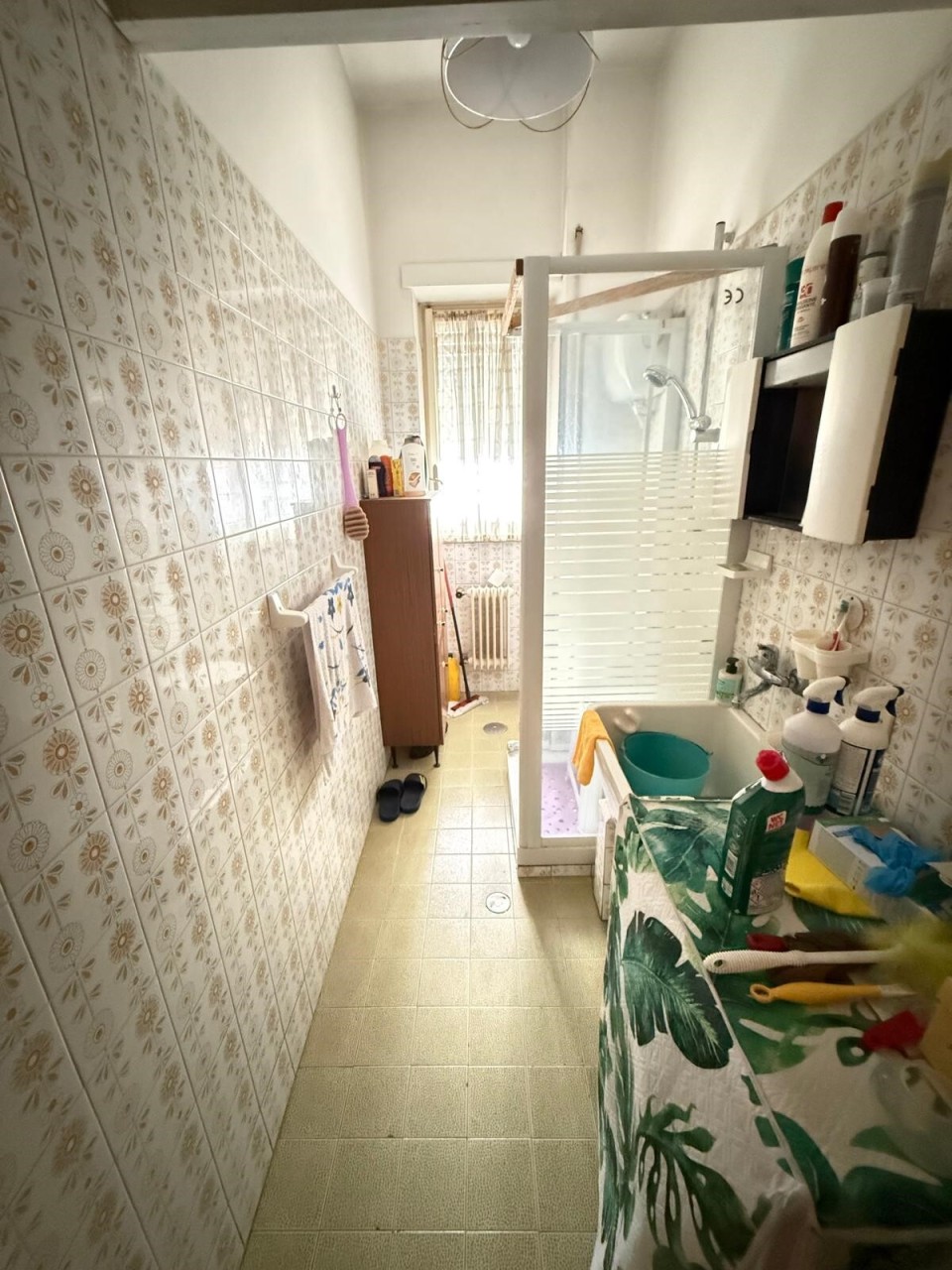 Immagine 7