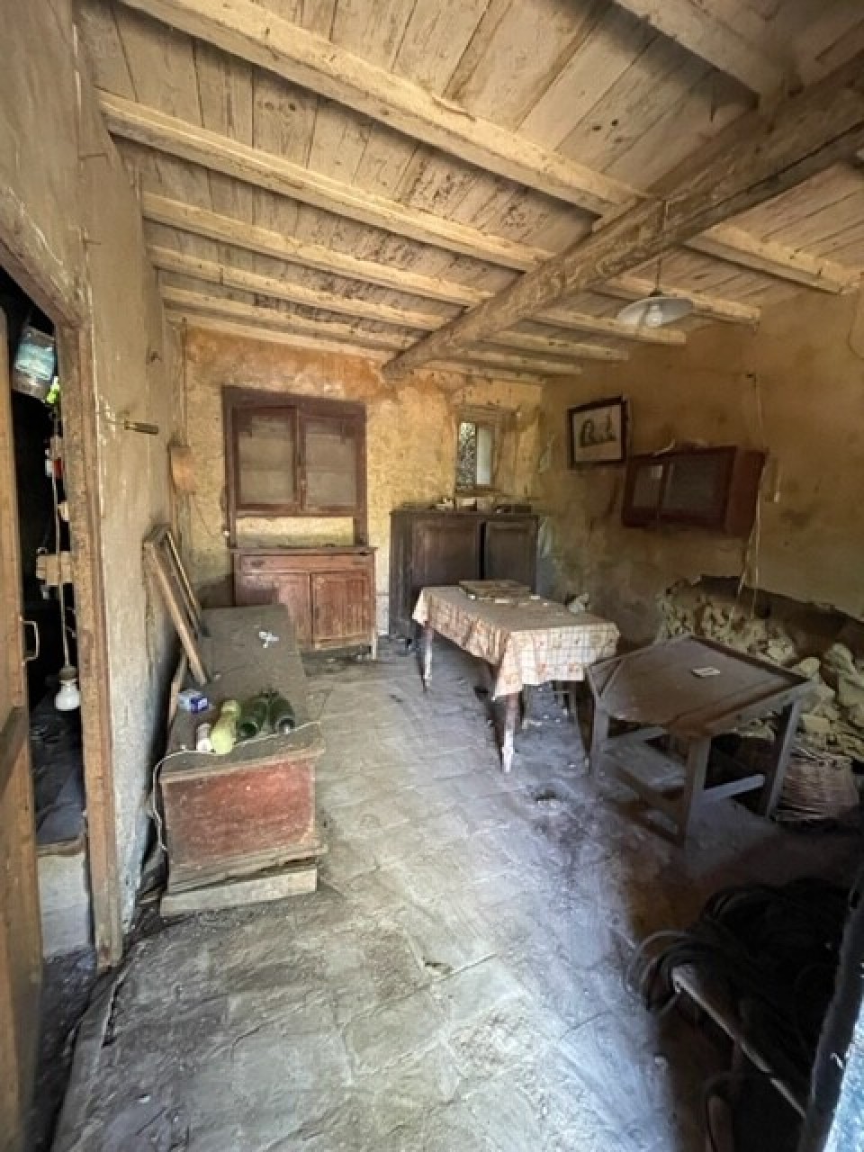 Immagine 3