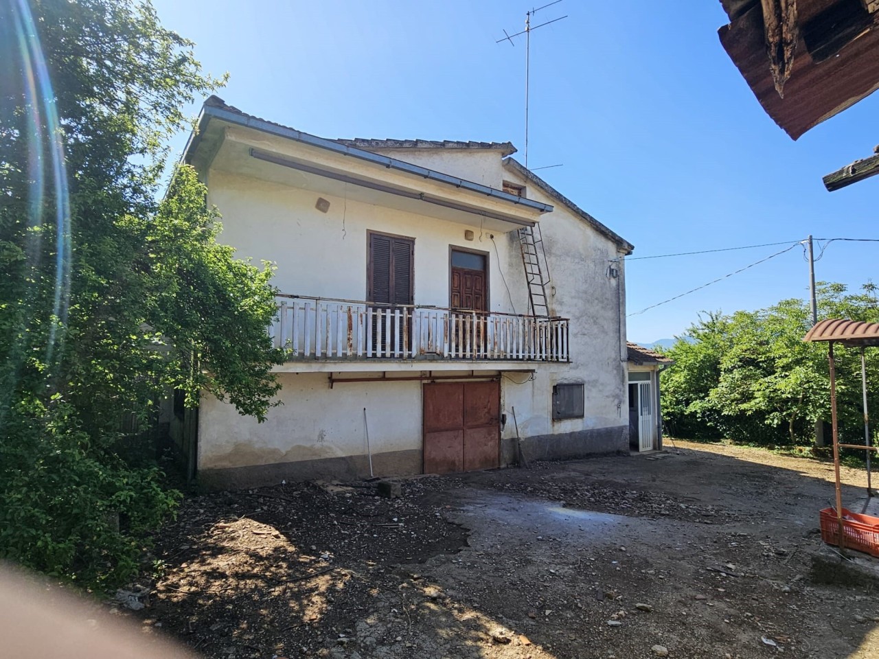 Altro in Vendita