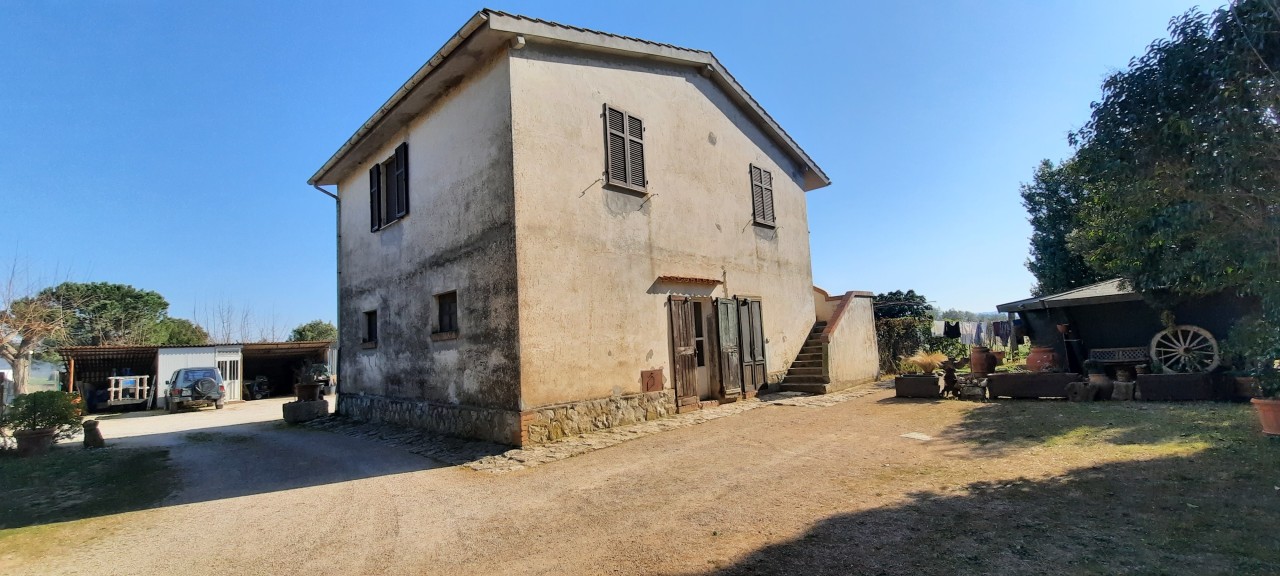 Azienda agricola in vendita a Magliano In Toscana (GR)