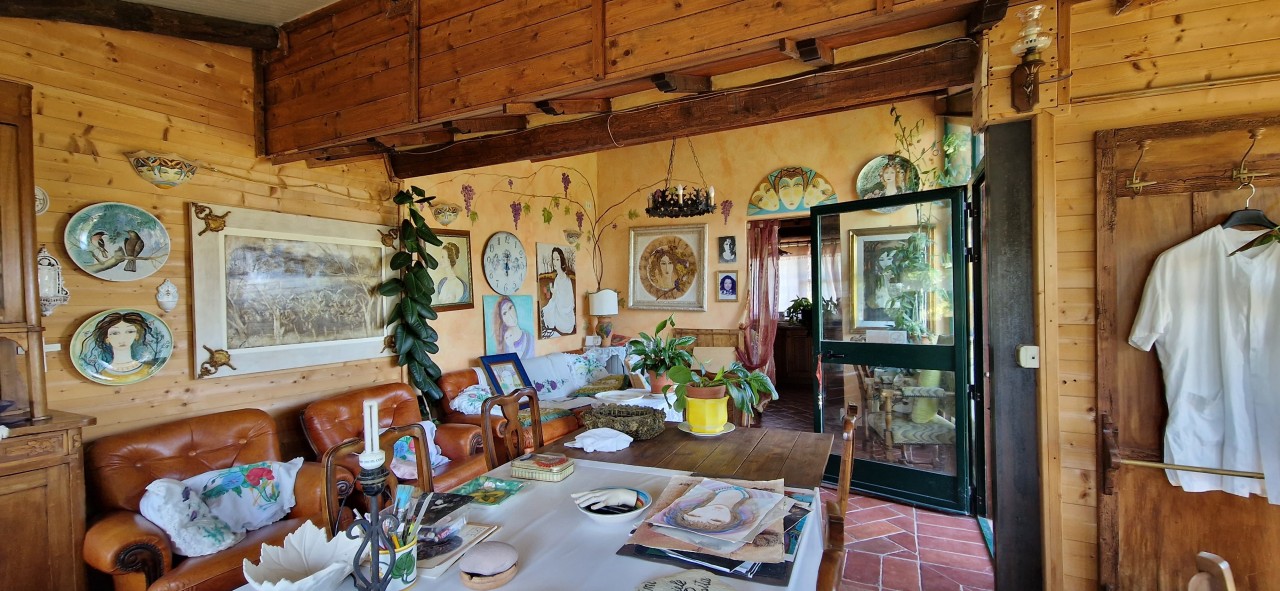 immagine 7