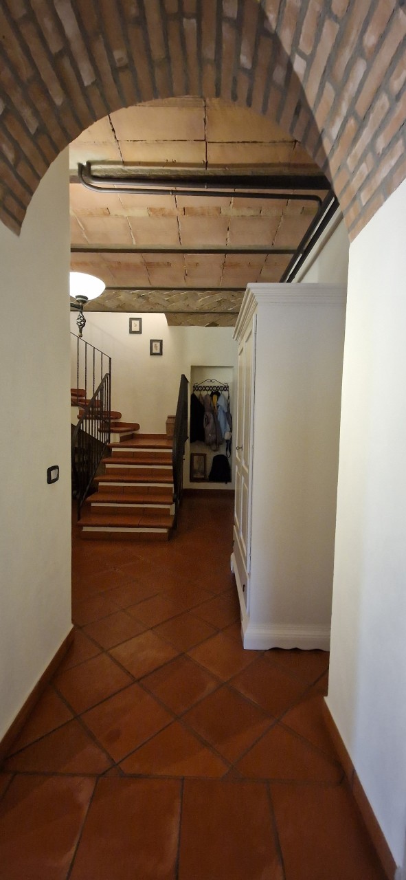 immagine 7