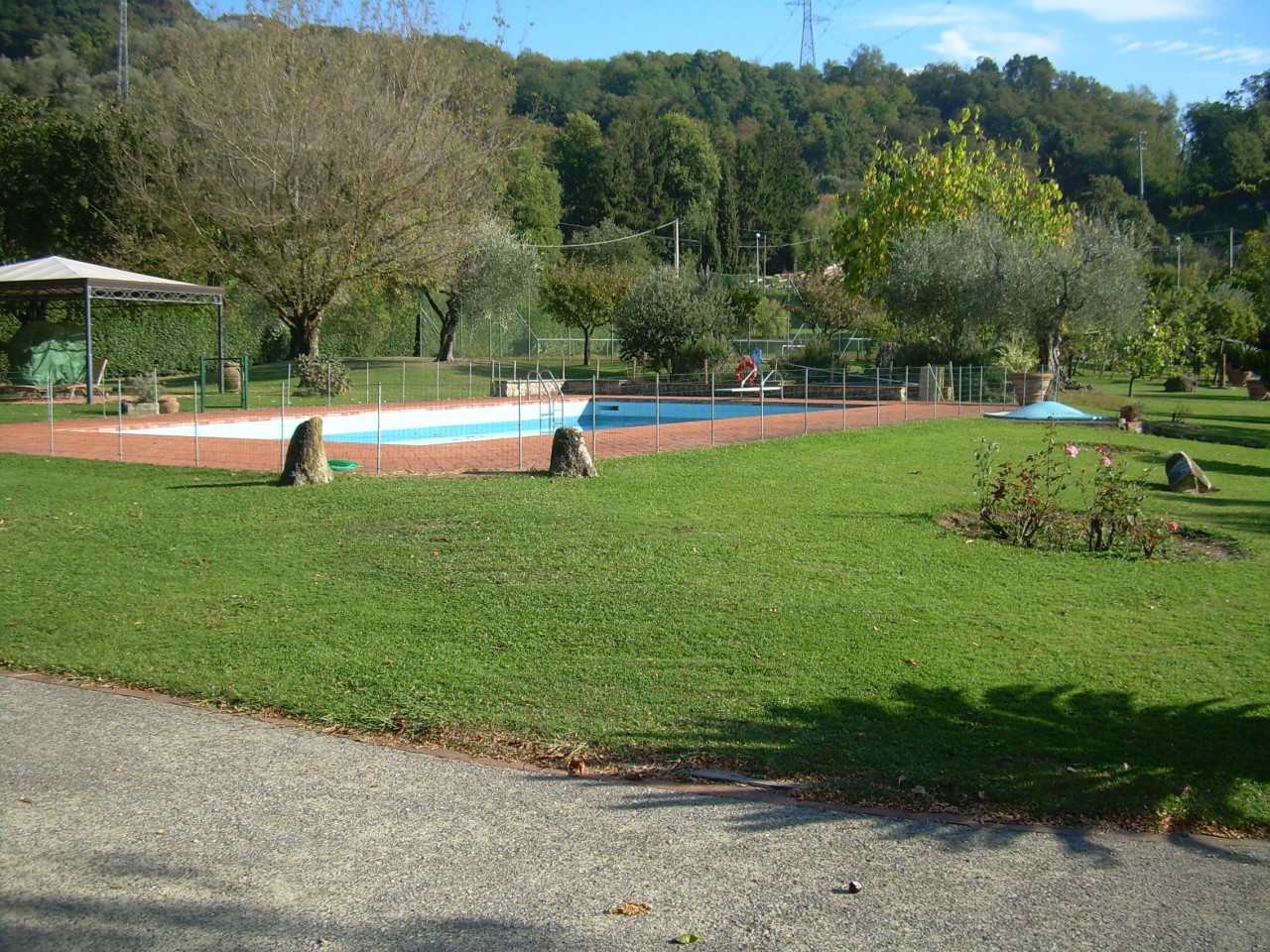 immagine 5