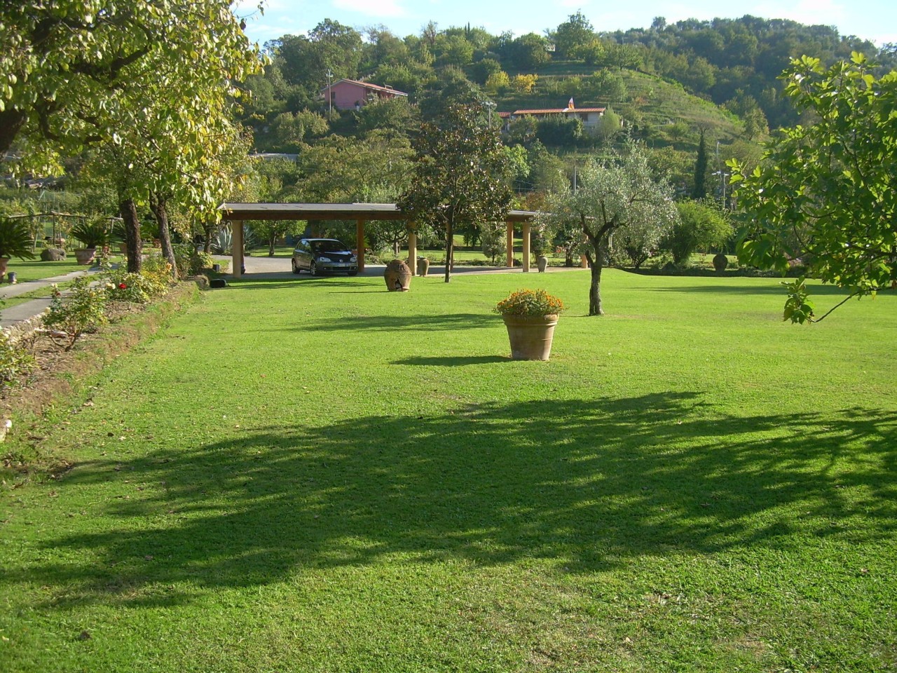 immagine 7