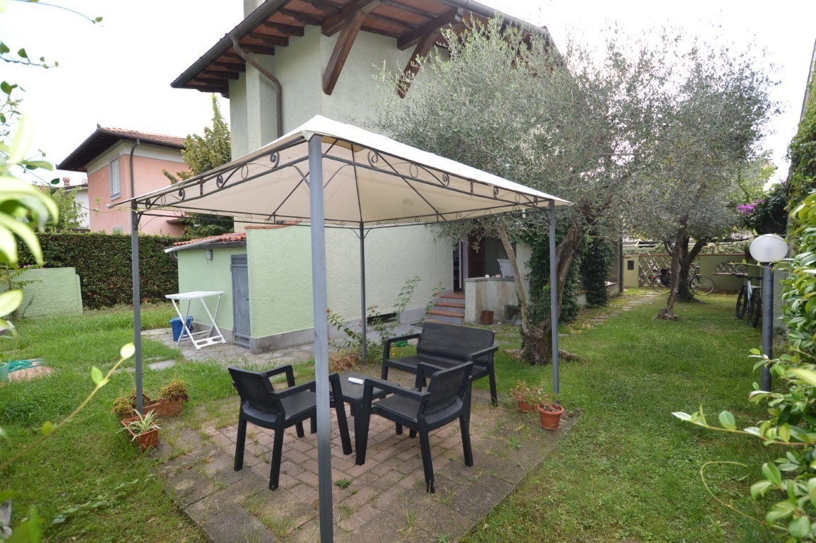 immagine 7