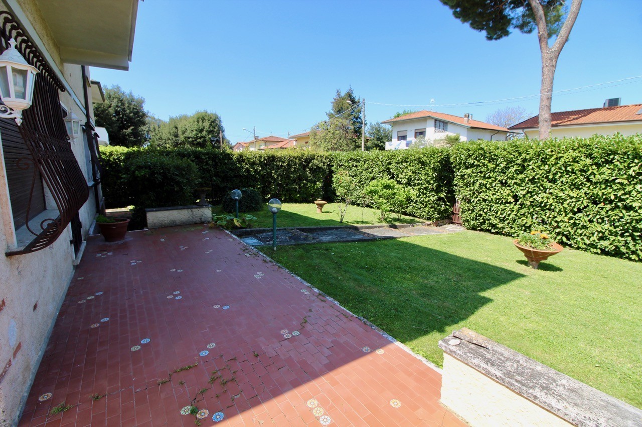 immagine 7