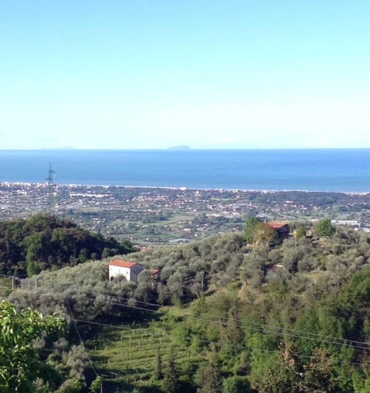 Appartamento in vendita a Pietrasanta (LU)