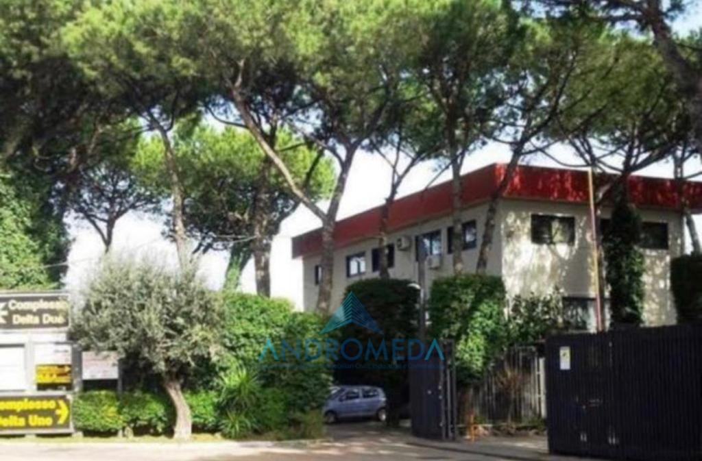 Immagine 2