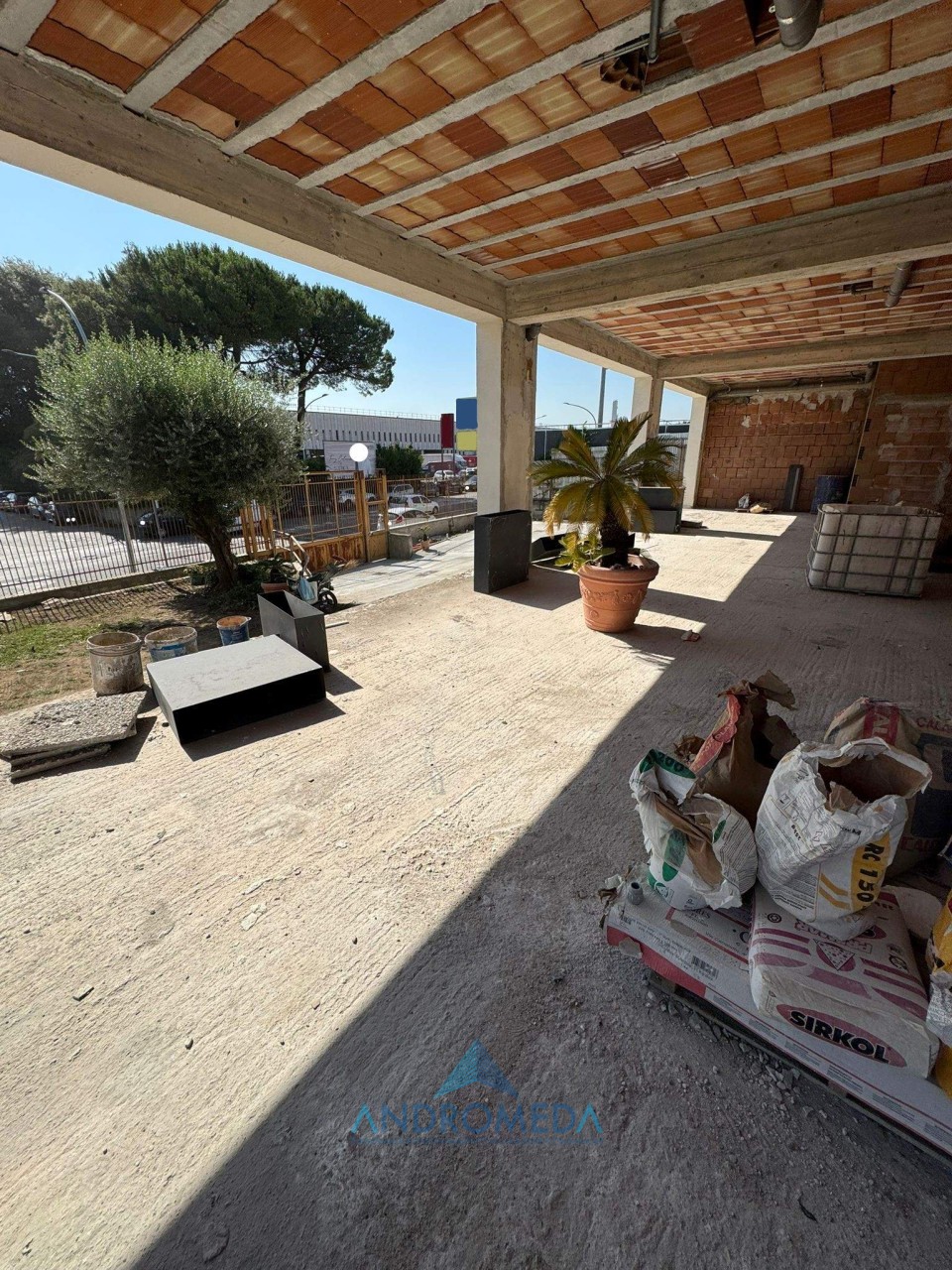 immagine 7