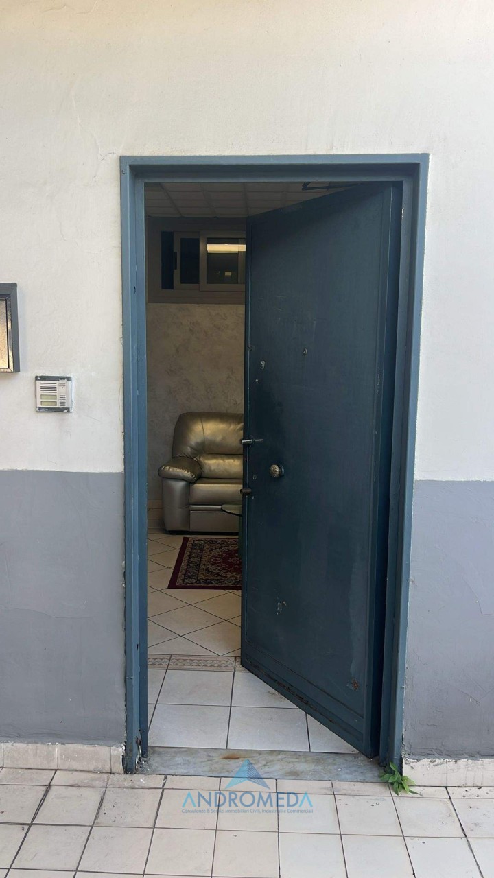 Immagine 2