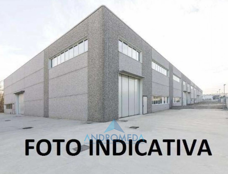 Altro in Vendita