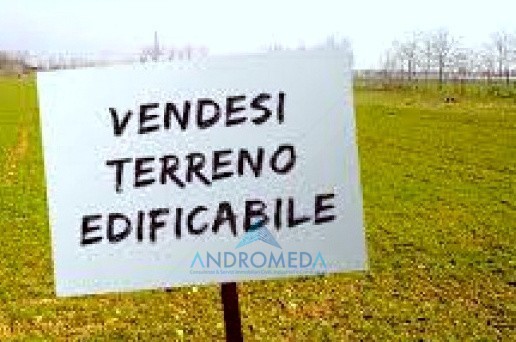 Altro in Vendita
