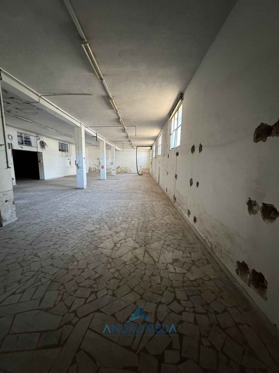 Altro in Vendita