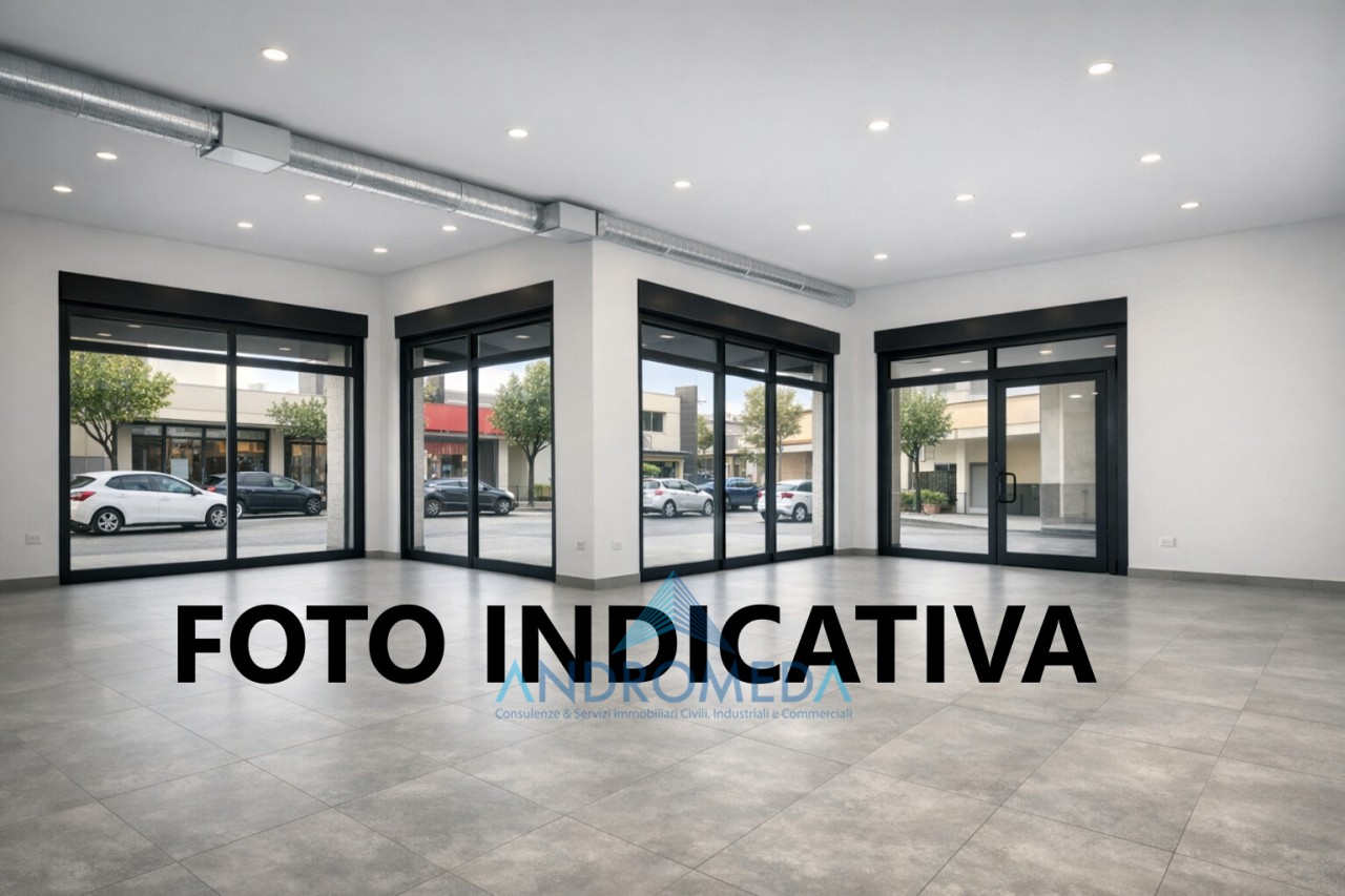 Altro in Affitto