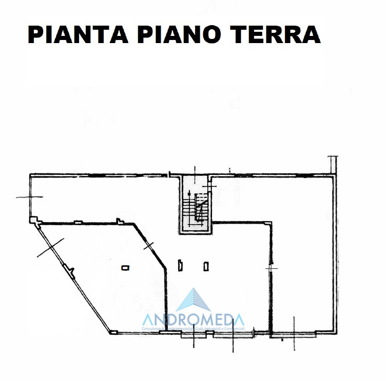 Immagine 2