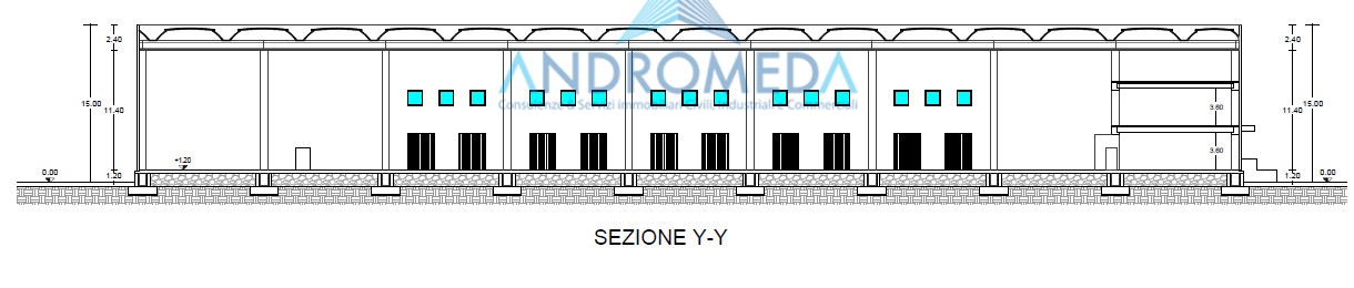 Immagine 5