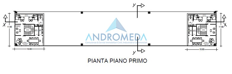 Immagine 3