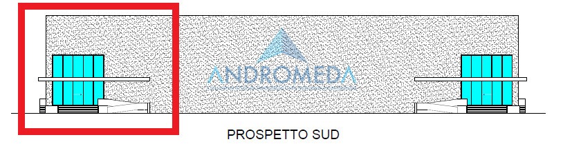 Immagine 6
