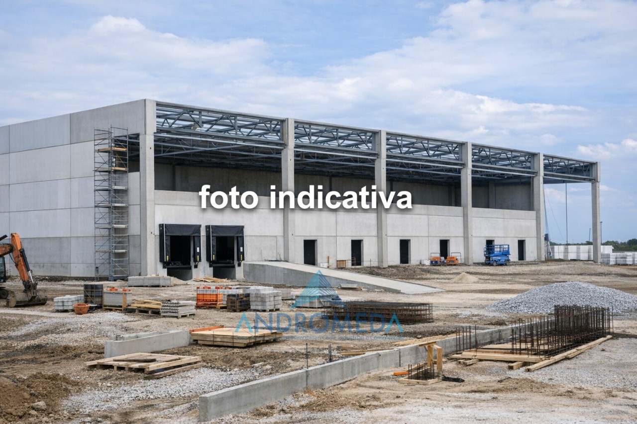 Altro in Vendita