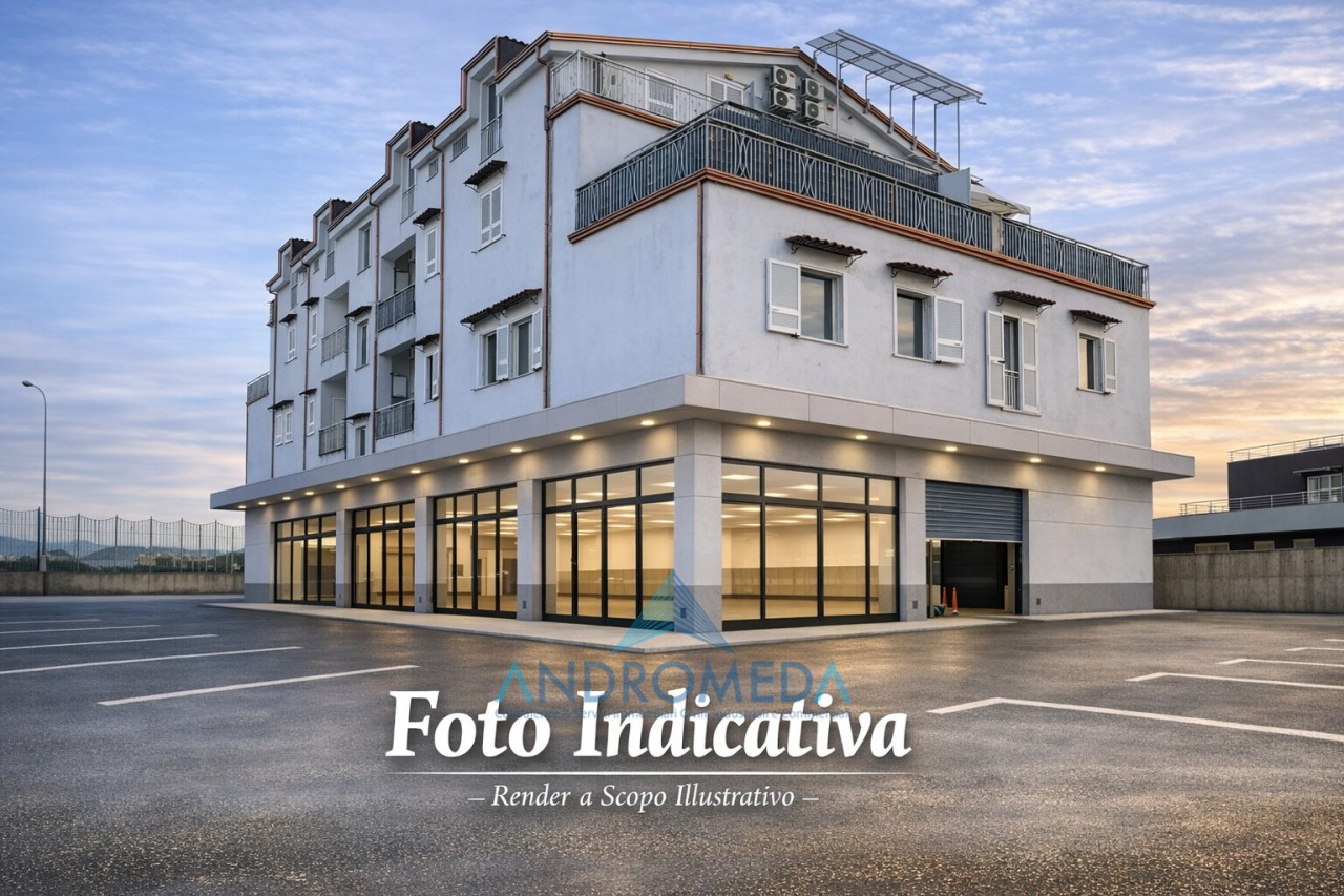 Altro in Affitto