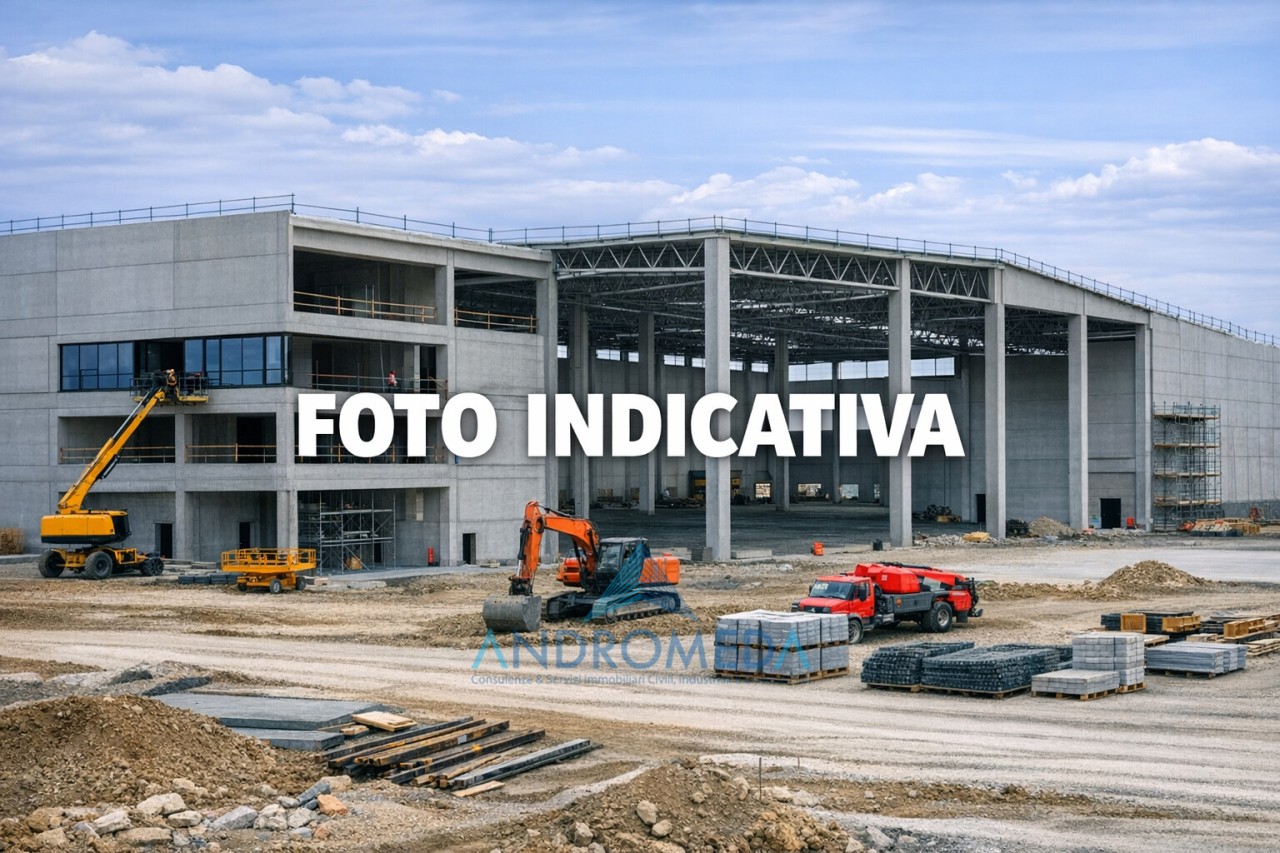 Altro in Affitto