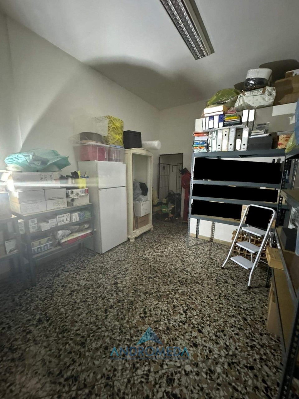 immagine 7