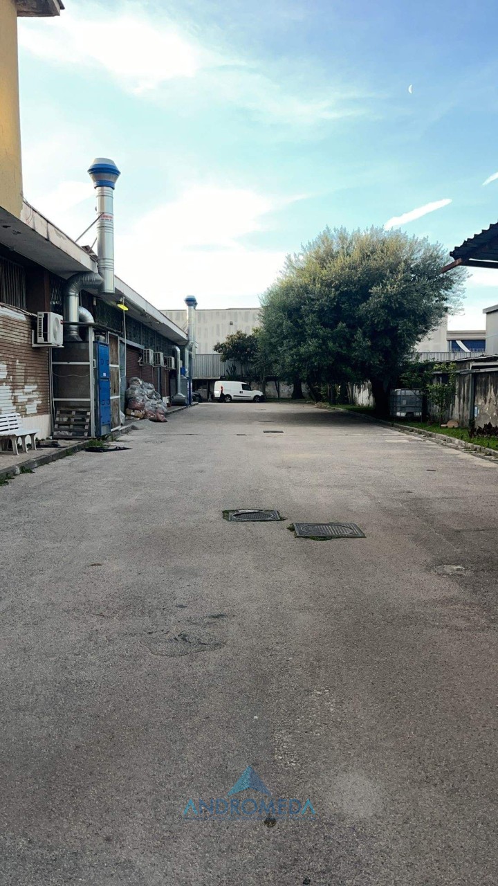 immagine 7