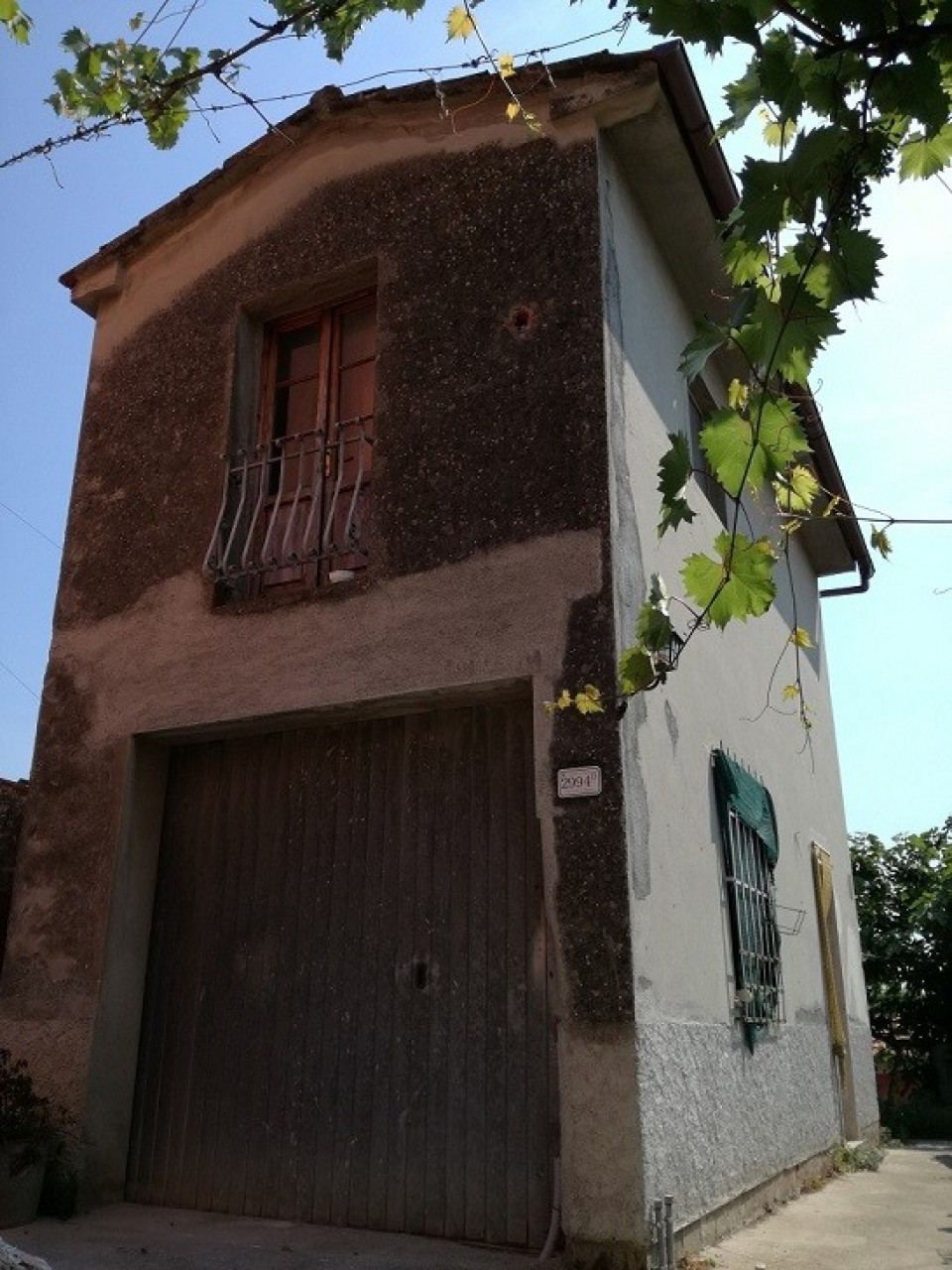 immagine 6