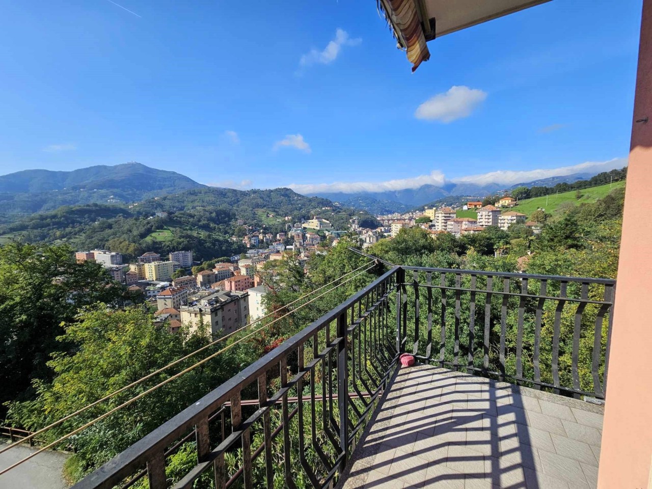 Altro in Vendita