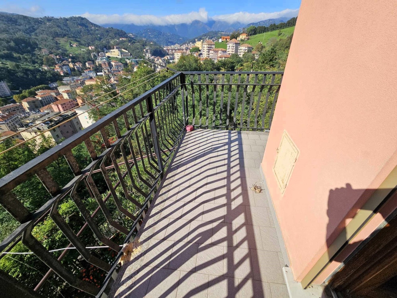 Immagine 3