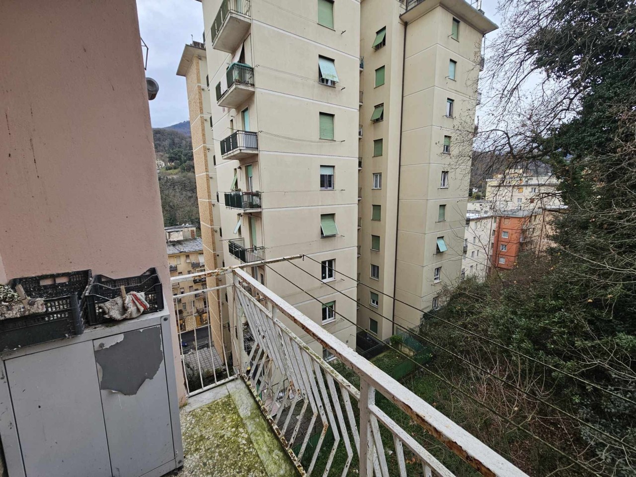 Altro in Vendita