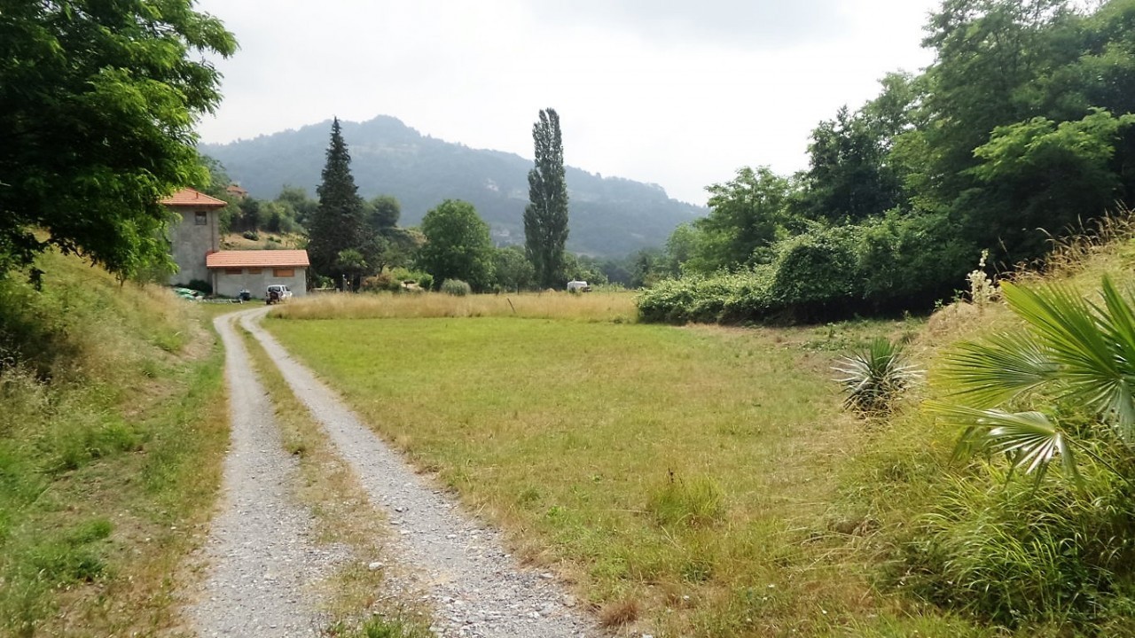Immagine 2