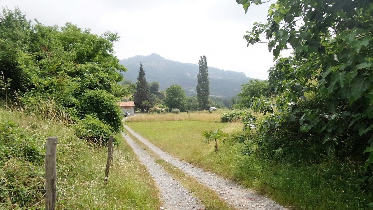 Altro in Vendita
