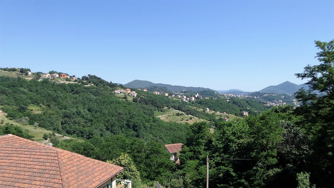 Immagine 3