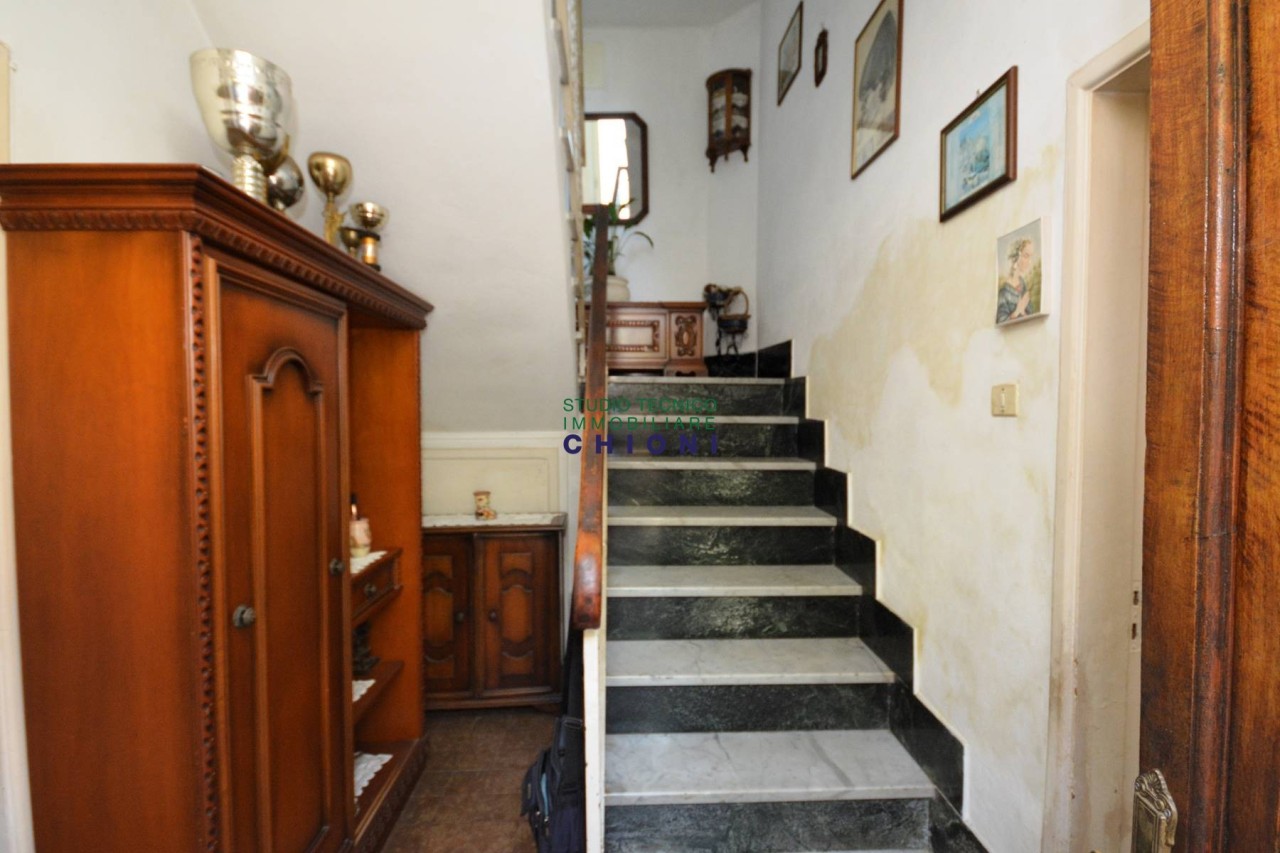 immagine 7