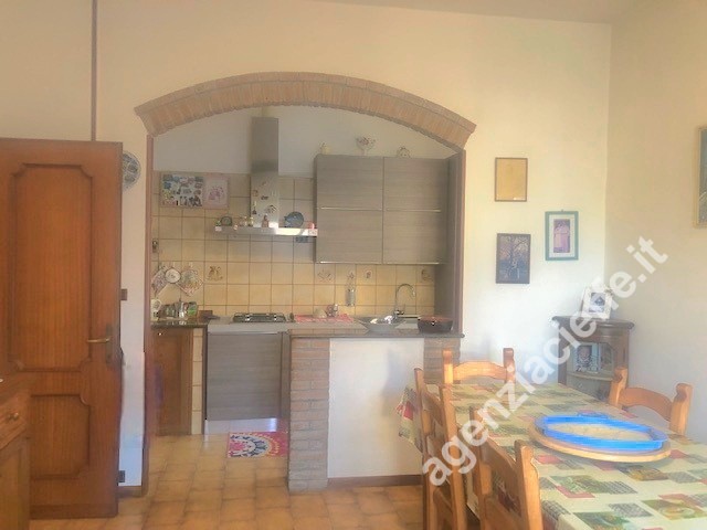 immagine 7