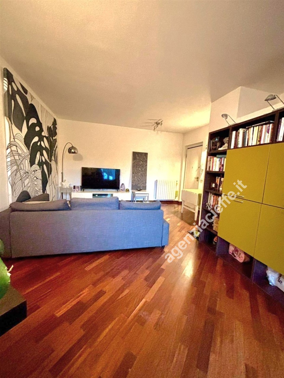 immagine 5