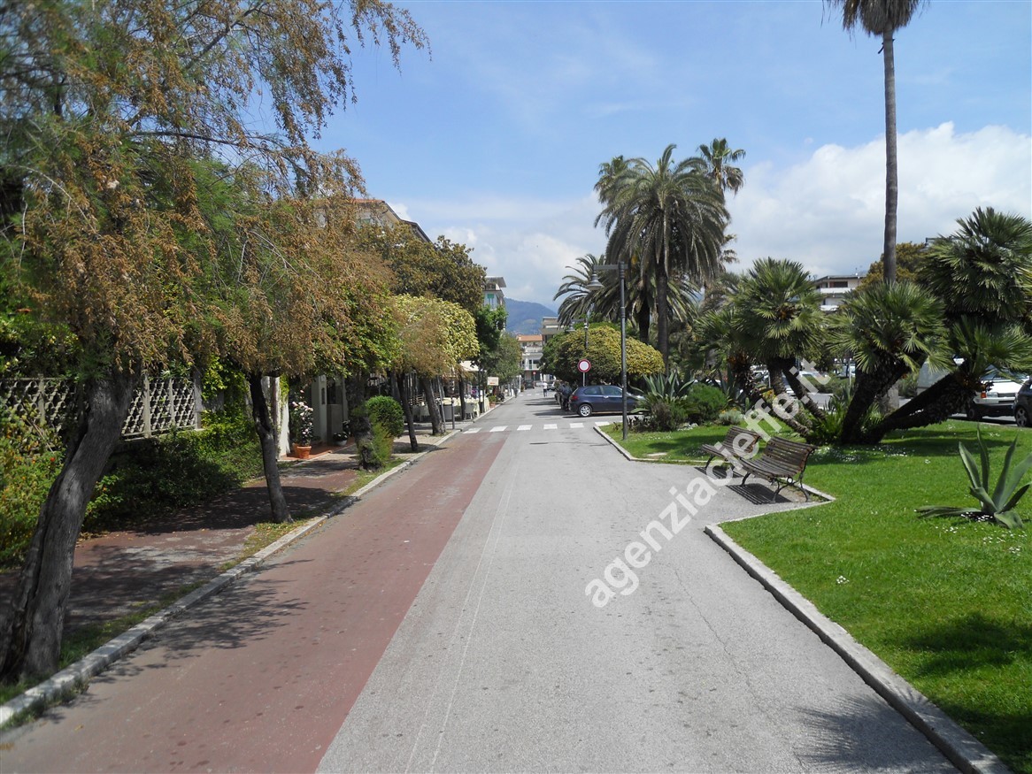 immagine 7