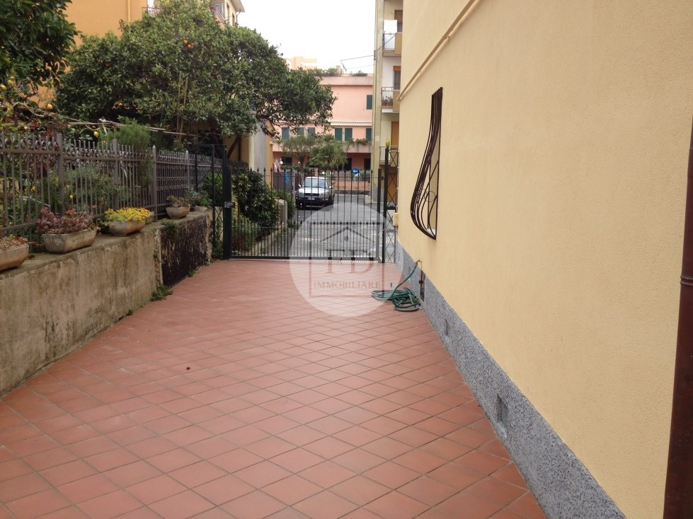 Immagine 6