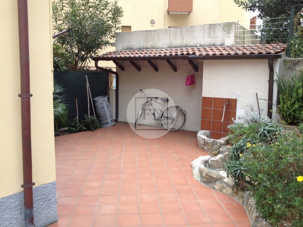 Immagine 7