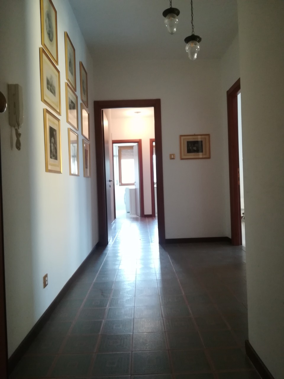 Immagine 7
