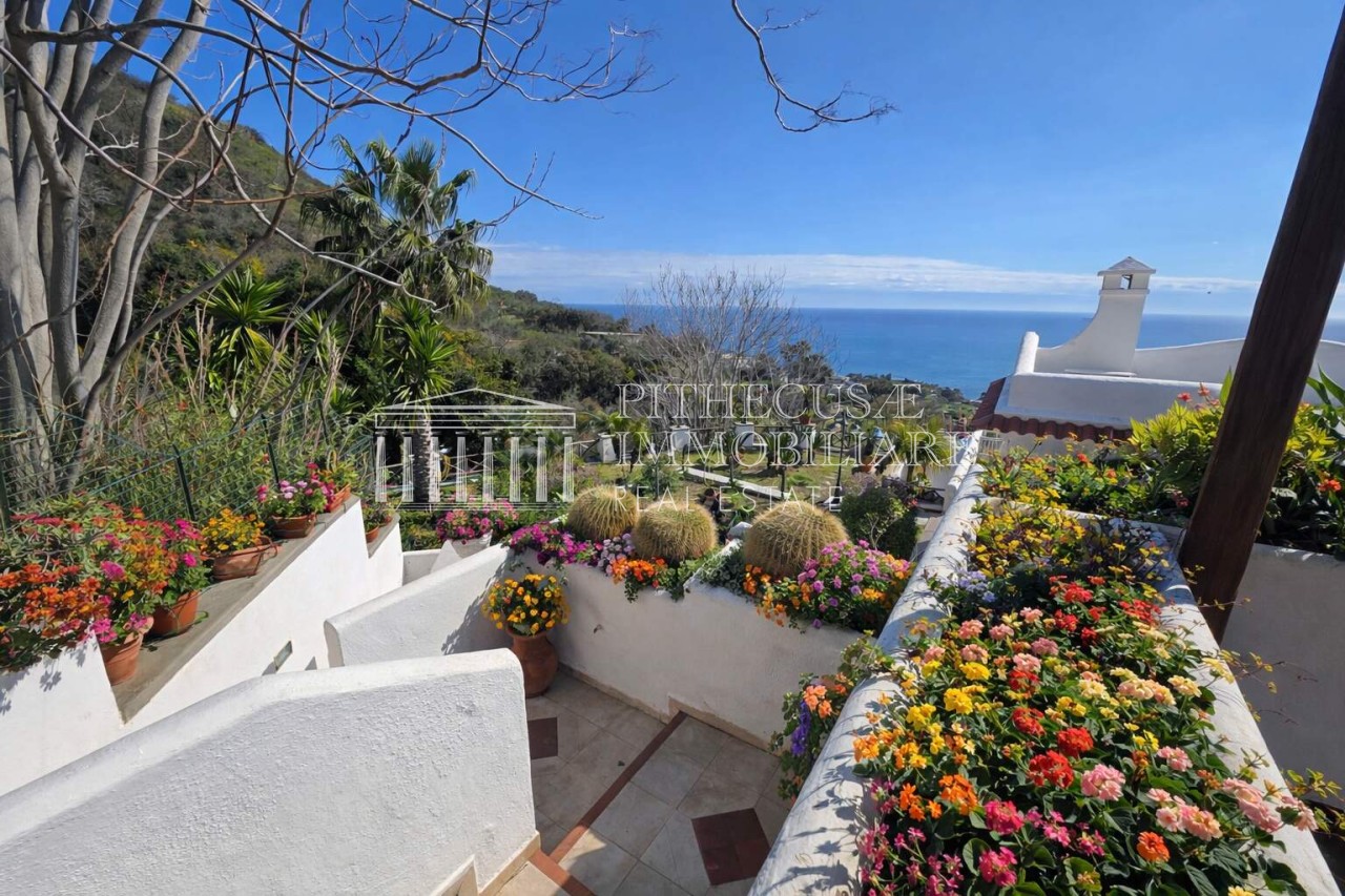 Immagine 4