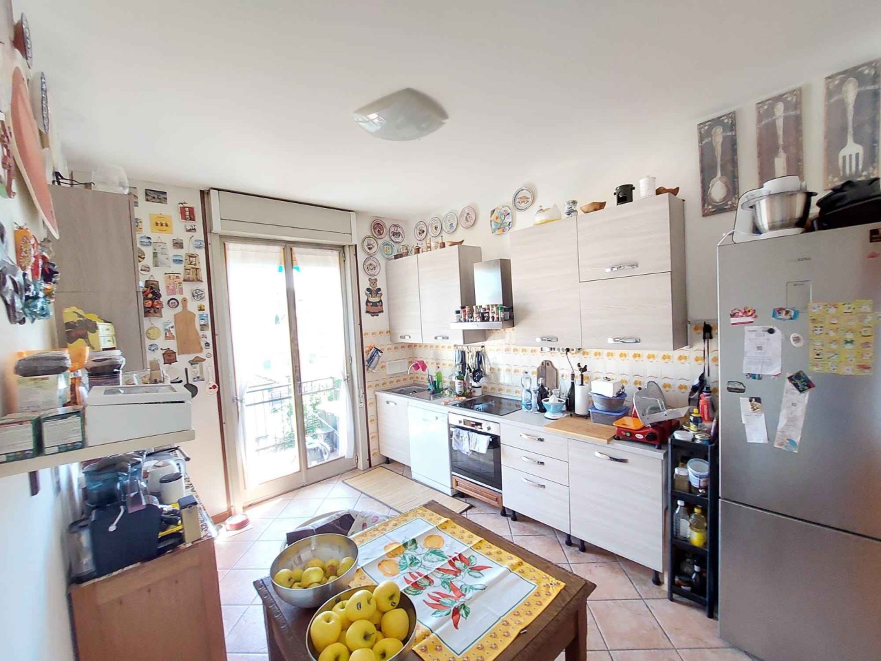 immagine 6