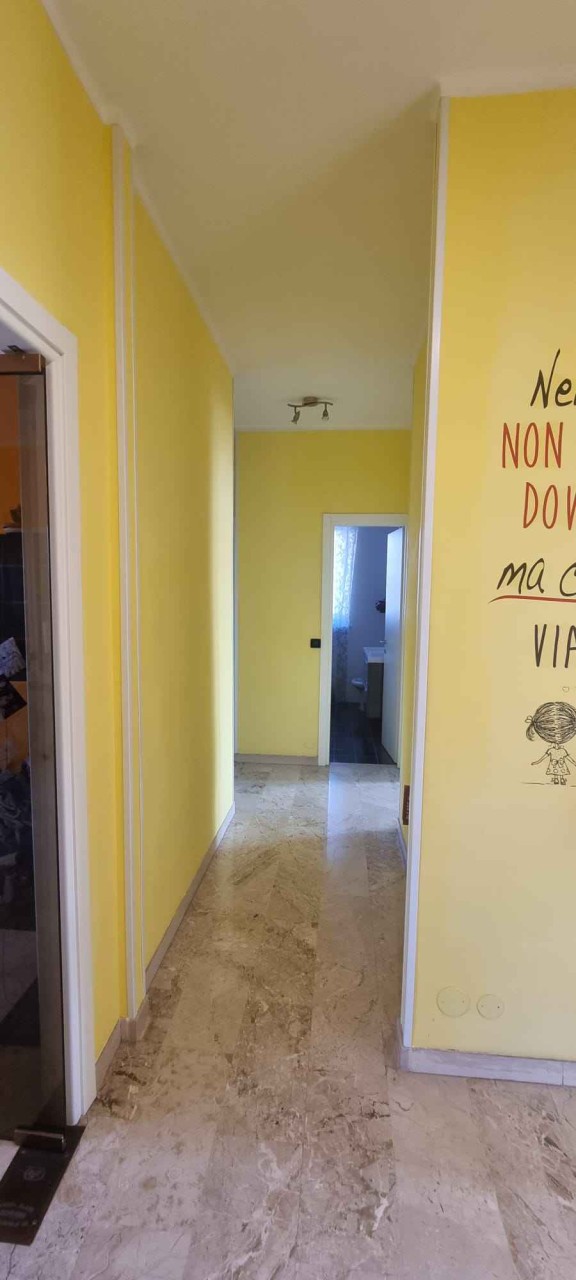 Immagine 7