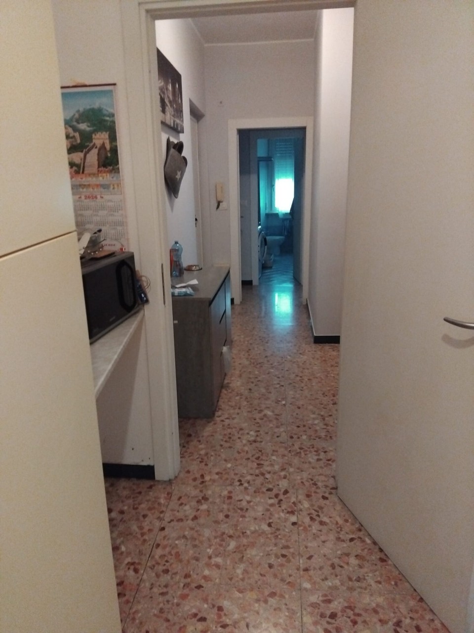 Immagine 3