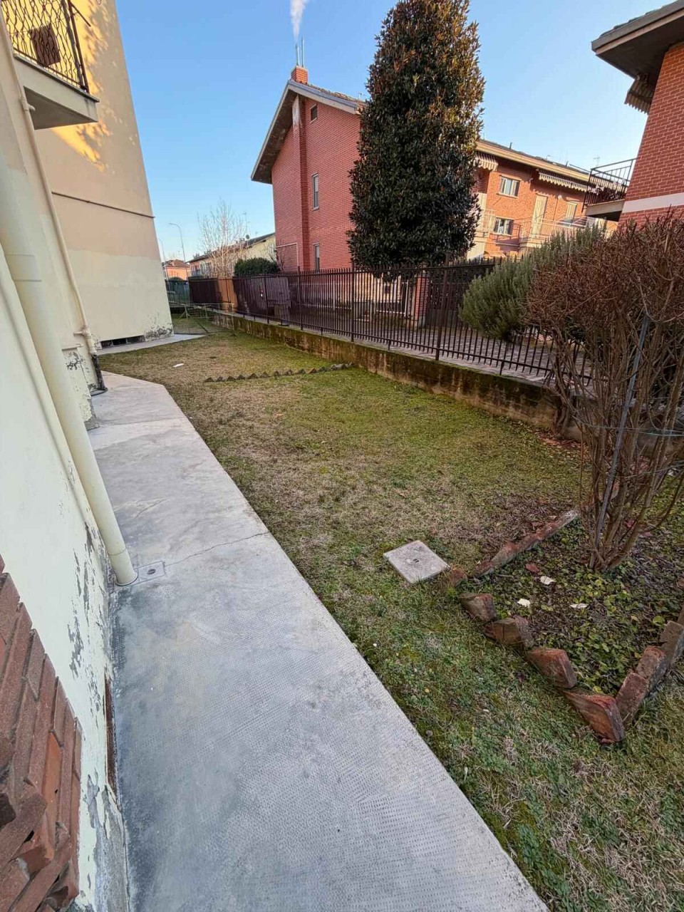 Immagine 3