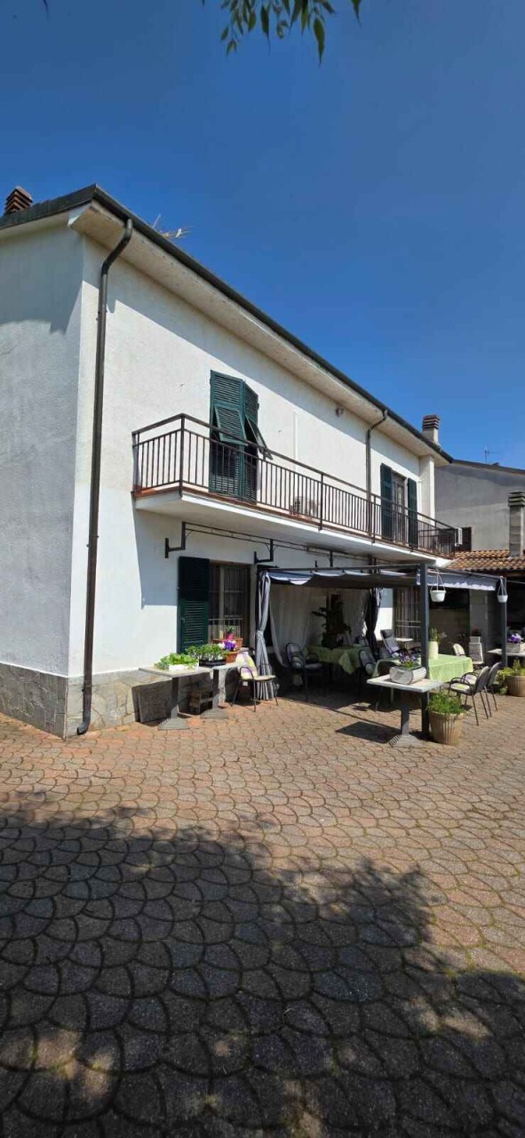 Immagine 3