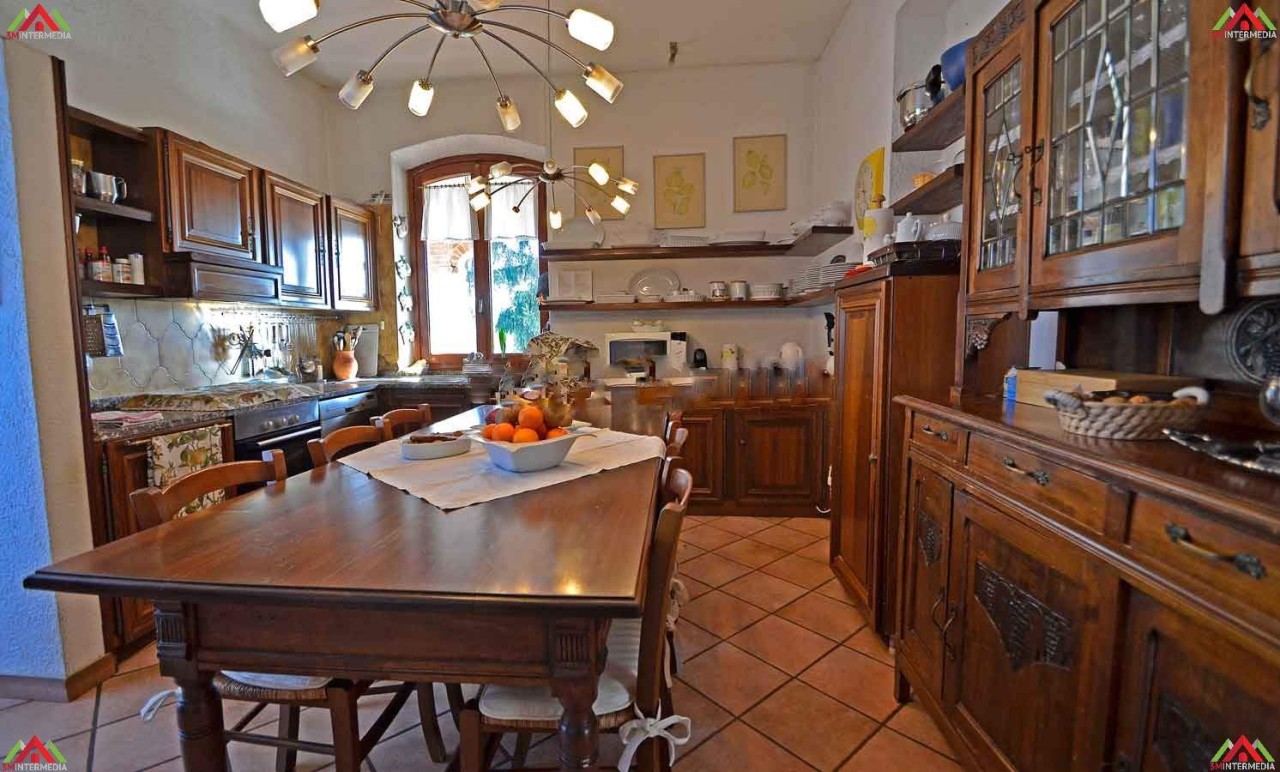 immagine 7